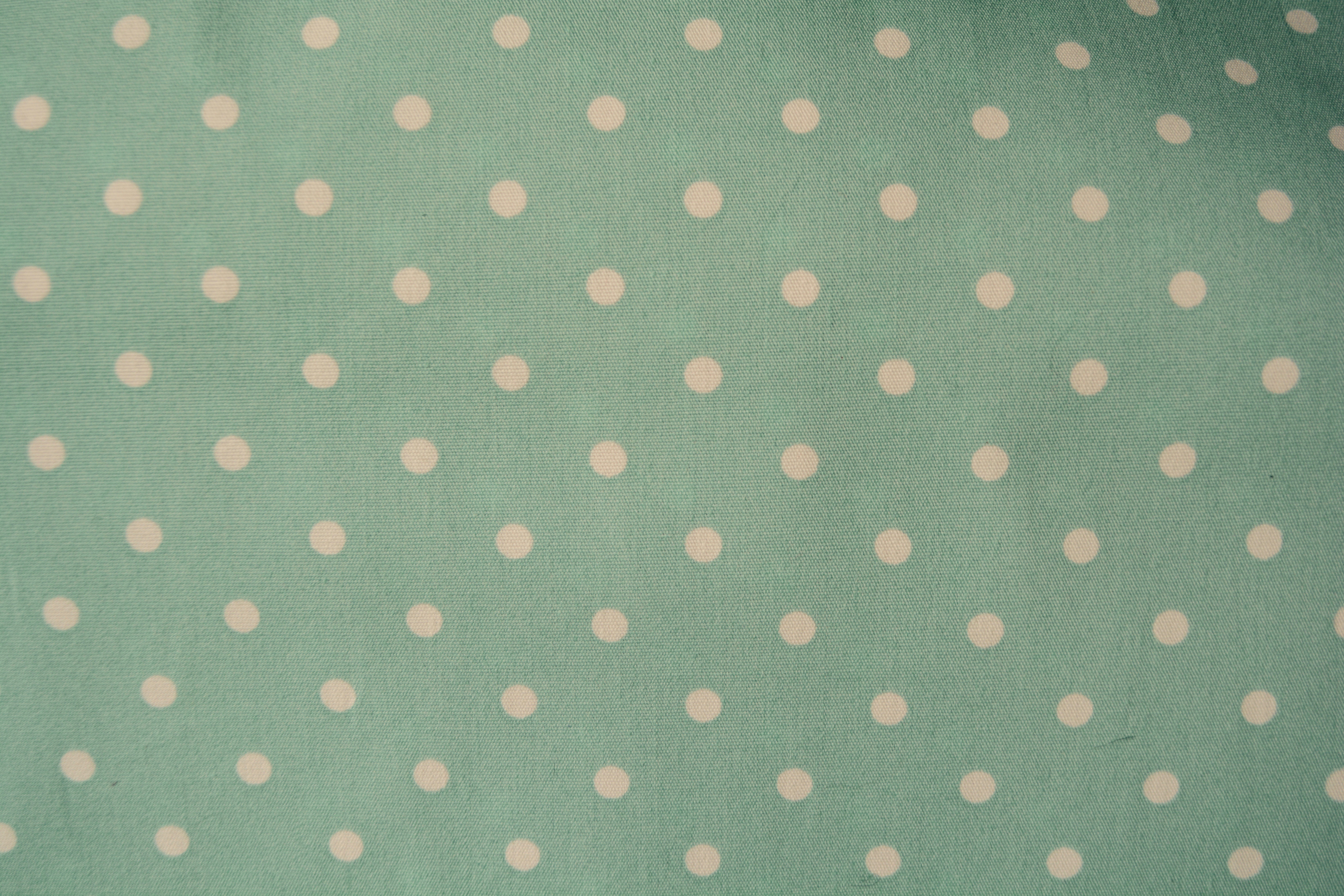 Sea Foam Polka Dot